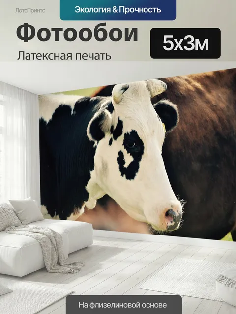 500 × 300 см · Латексная печать