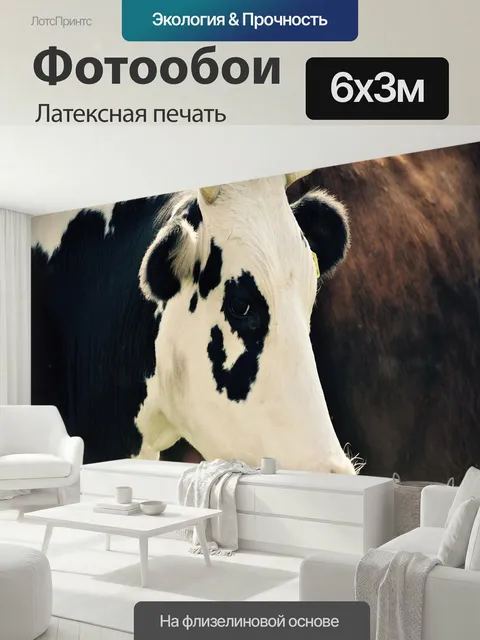 600 × 300 см · Латексная печать