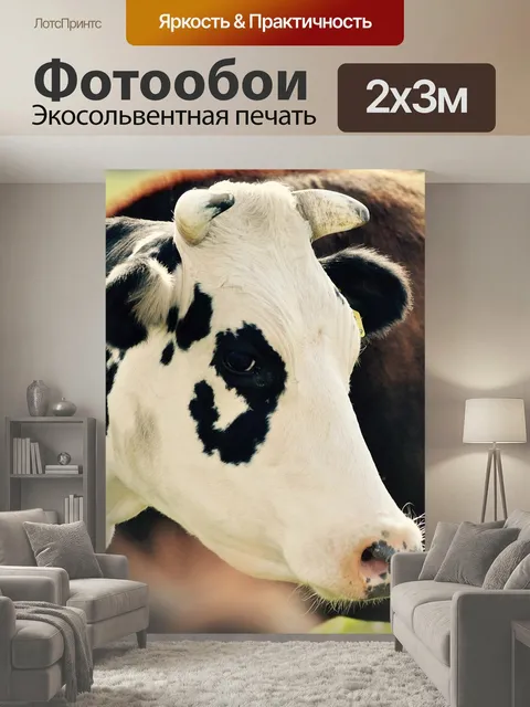 200 × 300 см · Экосольвентная печать