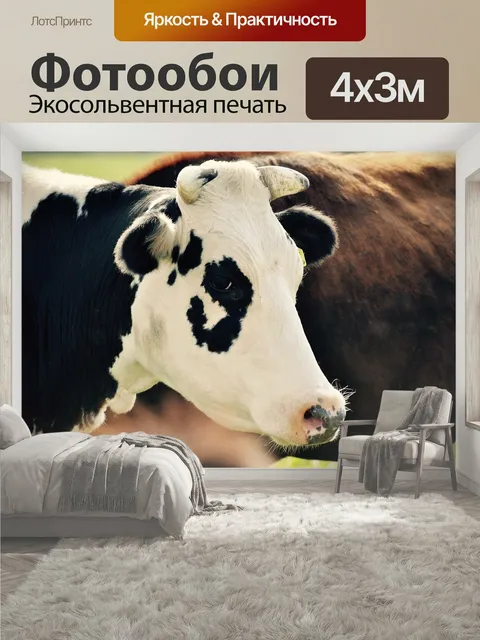 400 × 300 см · Экосольвентная печать