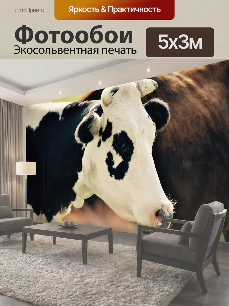 Фотообои Животные, корова, коровы