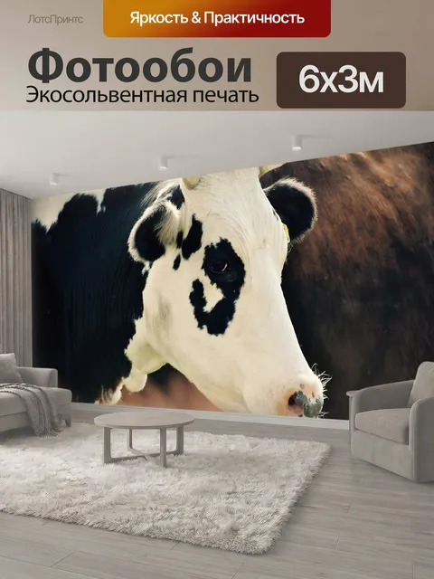 600 × 300 см · Экосольвентная печать