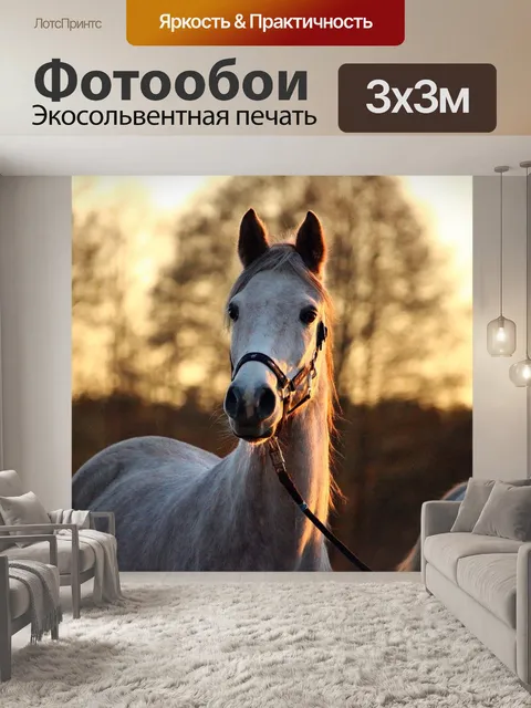 Фотообои Плесень, лошадь, послесвечение