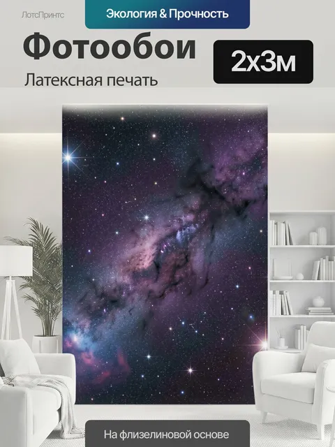 200 × 300 см · Латексная печать