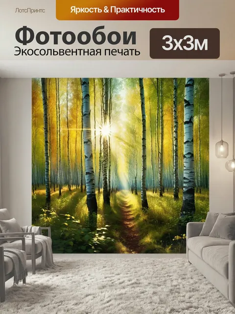 Фотообои Береза, тропа, дорожка лес природа
