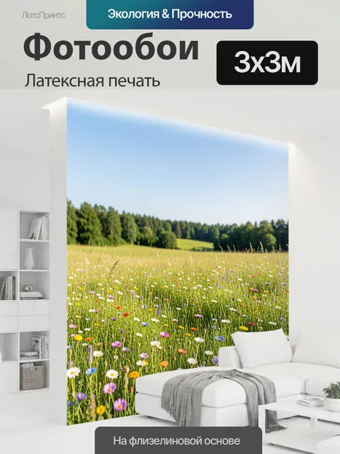 300 × 300 см · Латексная печать
