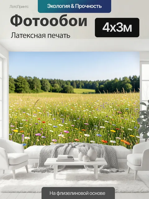 400 × 300 см · Латексная печать