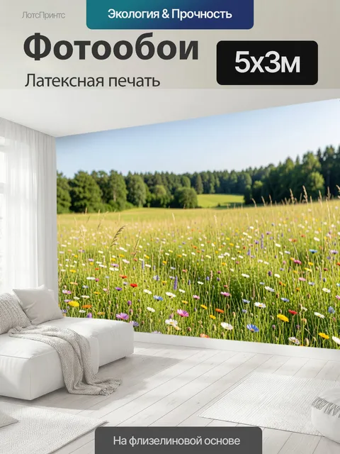 500 × 300 см · Латексная печать
