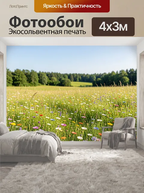 400 × 300 см · Экосольвентная печать