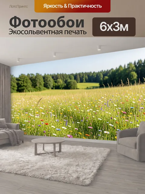 600 × 300 см · Экосольвентная печать