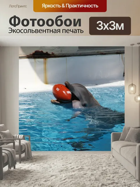 Фотообои Дельфины, морские млекопитающие, дельфин