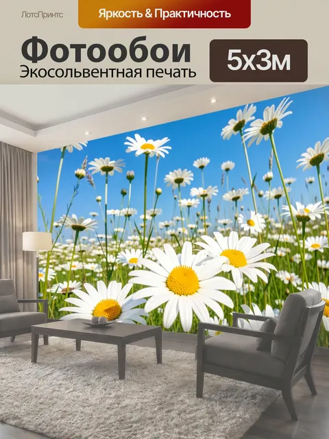 Фотообои Ромашковое поле под синим небом