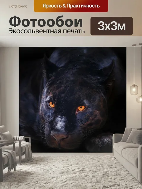 Фотообои Пантера, животное, кошачий