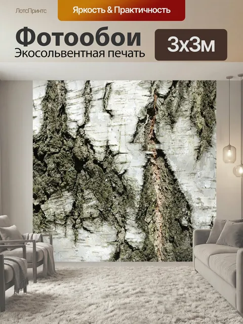 Фотообои Фон бересты Береза кора фон природа текстура