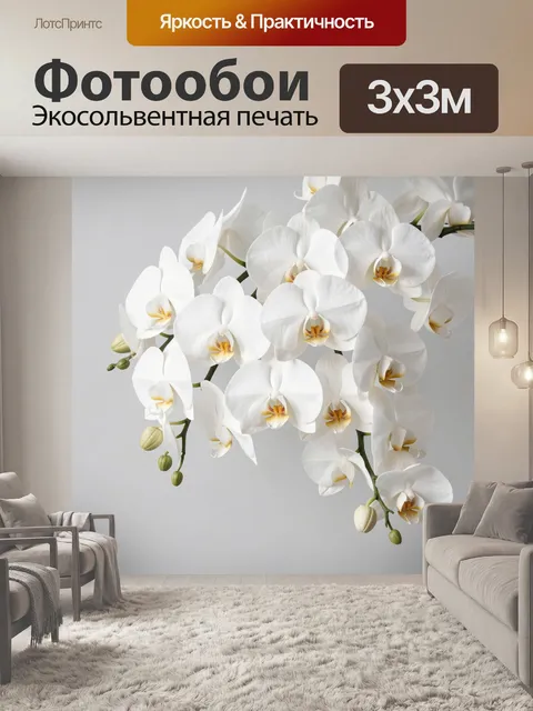Фотообои Белые орхидеи на светлом фоне. Изящные цветы фаленопсиса с крупными лепестками и нежными бутонами, выполненны…