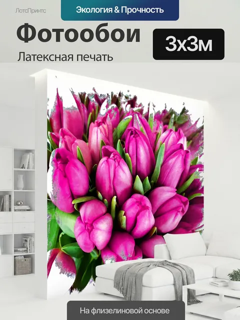 300 × 300 см · Латексная печать