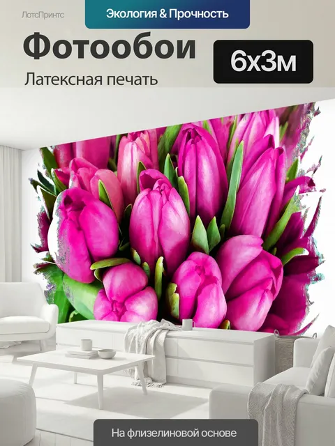 600 × 300 см · Латексная печать