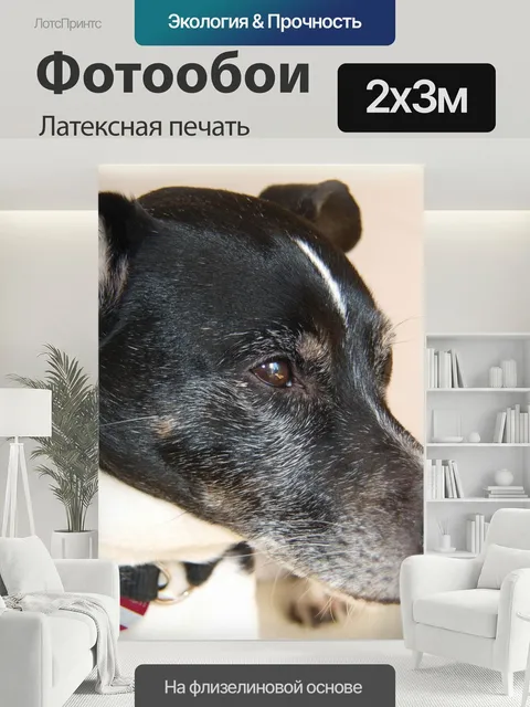 200 × 300 см · Латексная печать