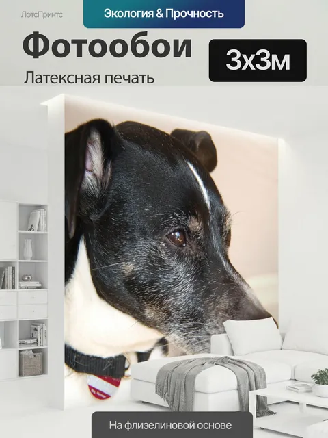 300 × 300 см · Латексная печать