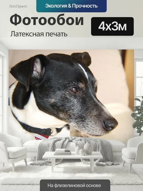 400 × 300 см · Латексная печать