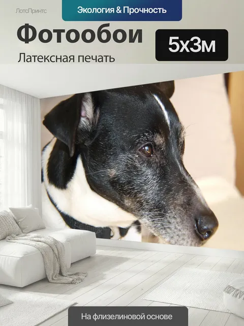 500 × 300 см · Латексная печать