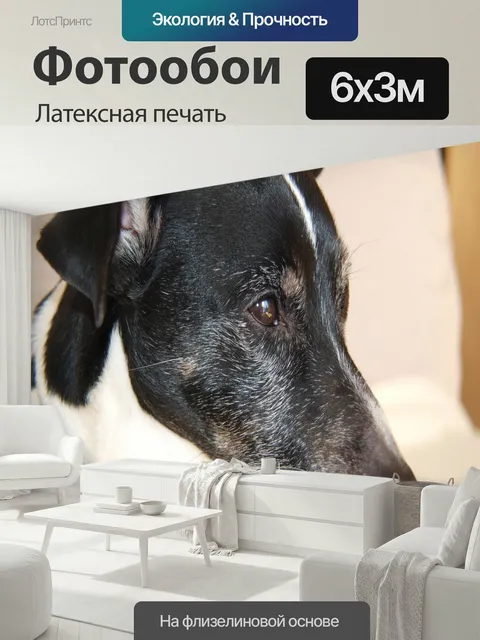 600 × 300 см · Латексная печать