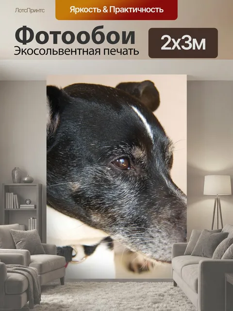 200 × 300 см · Экосольвентная печать