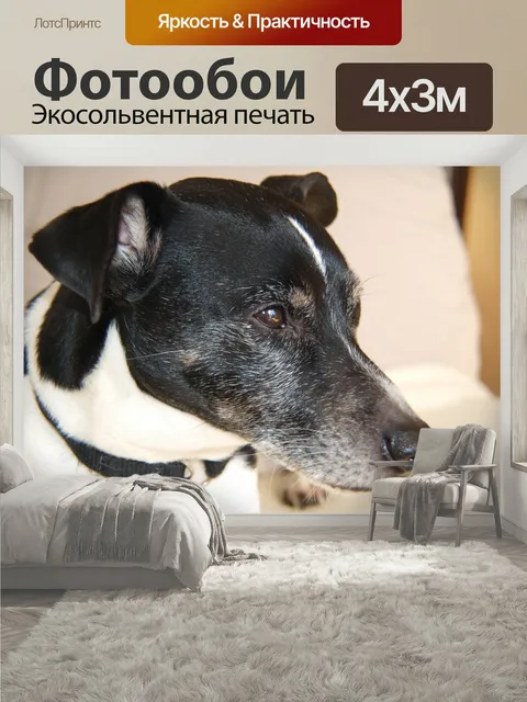 400 × 300 см · Экосольвентная печать