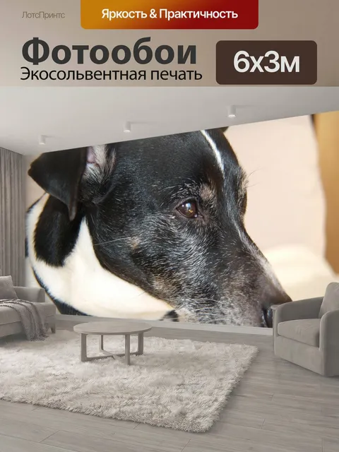 600 × 300 см · Экосольвентная печать