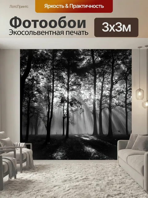 Фотообои Черно-белый, на которых изображён утренний лес, окутанный легким туманом. солнечные лучи пробиваются через де…