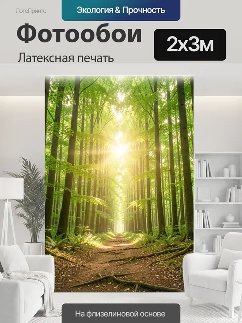200 × 300 см · Латексная печать