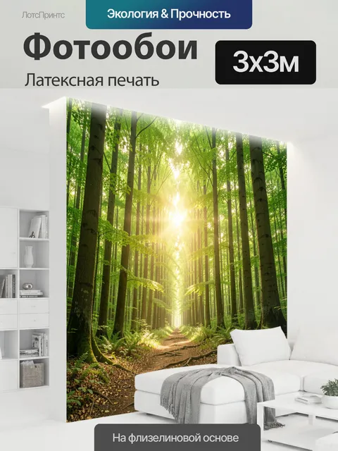 300 × 300 см · Латексная печать