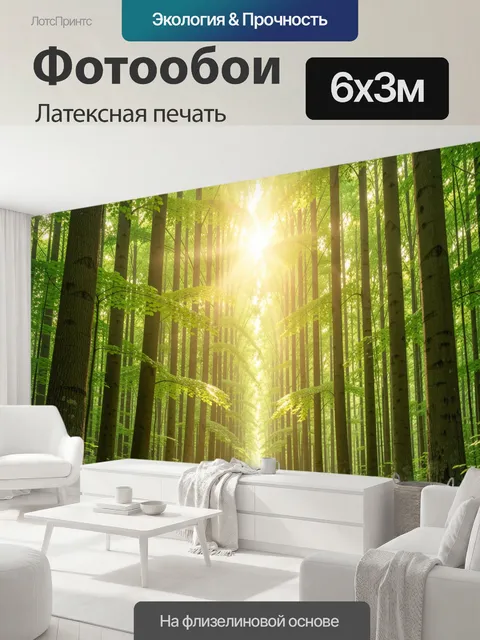 600 × 300 см · Латексная печать