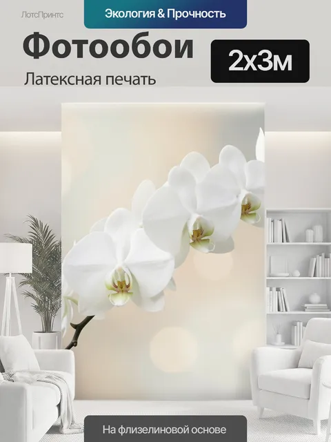 200 × 300 см · Латексная печать