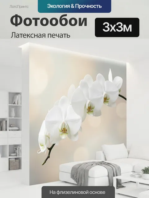 300 × 300 см · Латексная печать