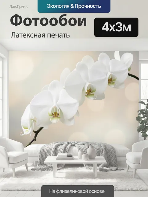 400 × 300 см · Латексная печать