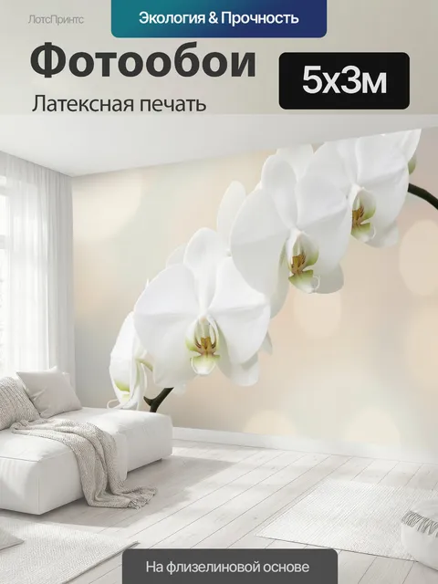 500 × 300 см · Латексная печать
