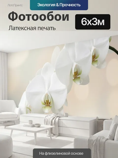 600 × 300 см · Латексная печать