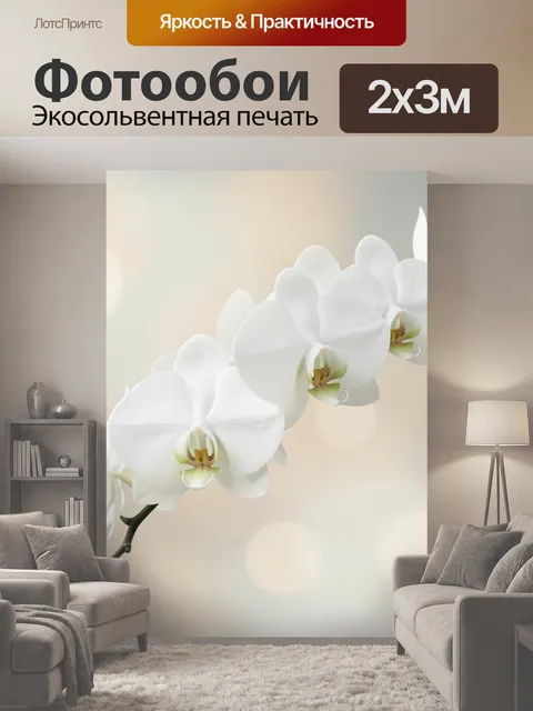 200 × 300 см · Экосольвентная печать