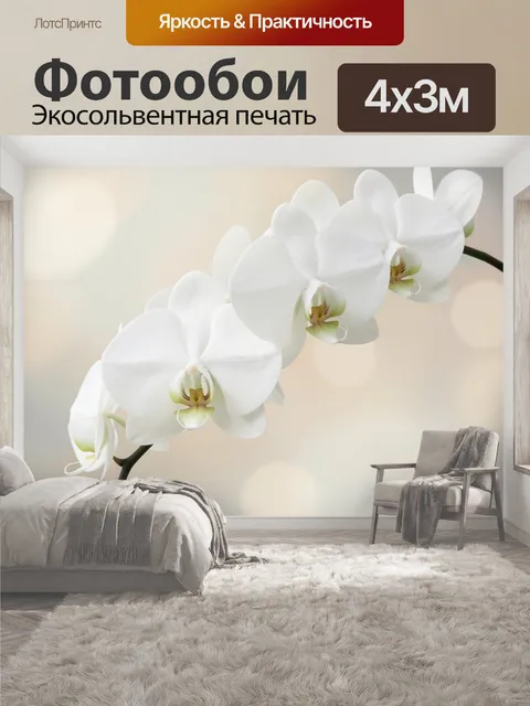 400 × 300 см · Экосольвентная печать