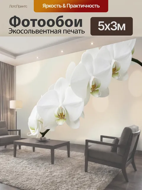 500 × 300 см · Экосольвентная печать