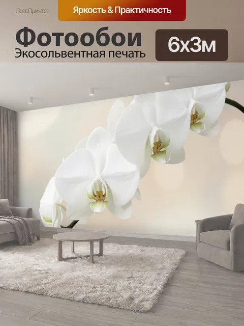 600 × 300 см · Экосольвентная печать