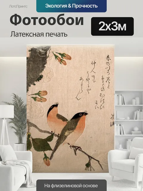 200 × 300 см · Латексная печать