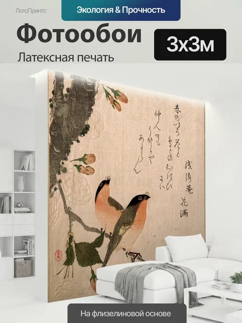 300 × 300 см · Латексная печать