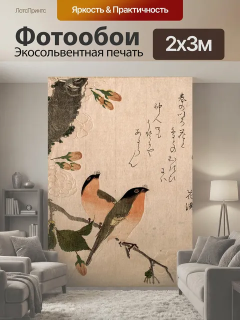 200 × 300 см · Экосольвентная печать