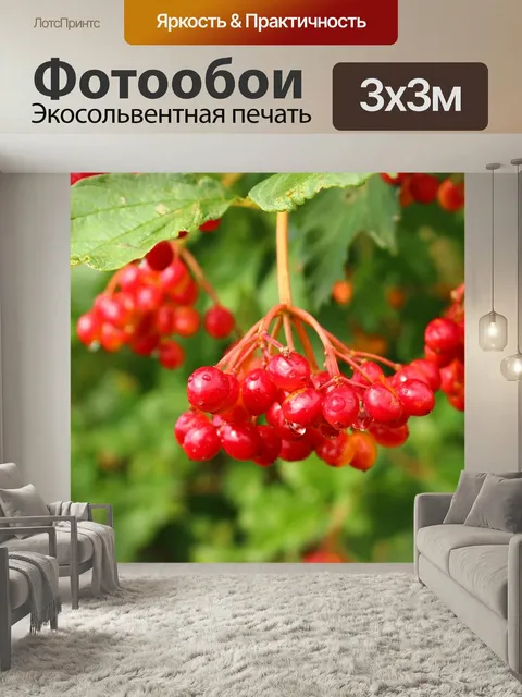 Фотообои Калина, ягода, плоды