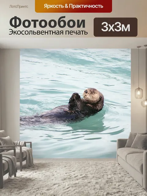 Фотообои Выдра, аляска, плавающий