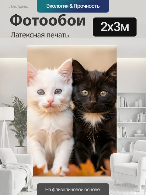 200 × 300 см · Латексная печать
