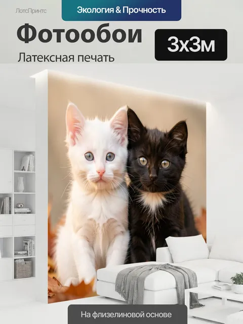 300 × 300 см · Латексная печать