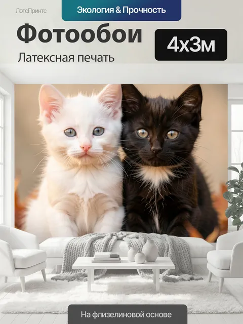 400 × 300 см · Латексная печать